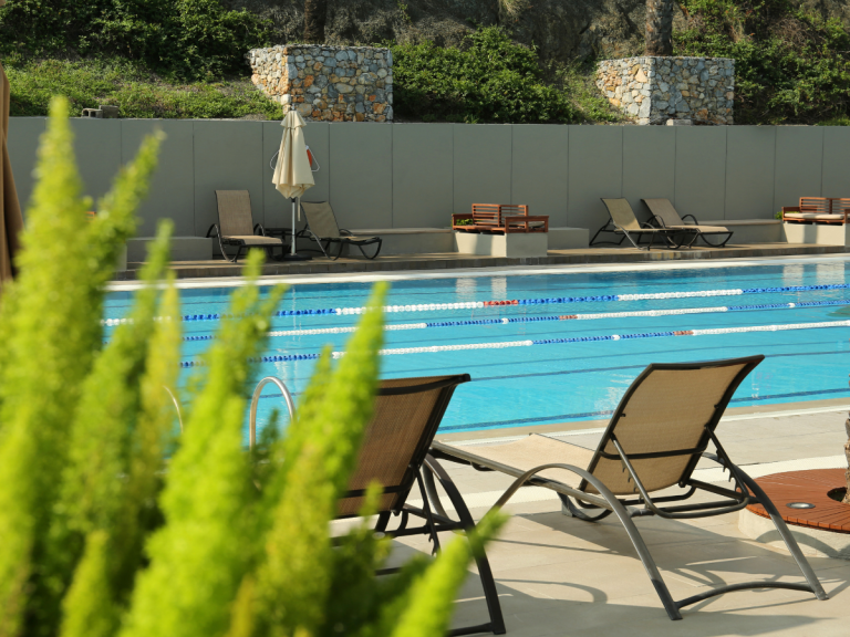 A Complete Guide to Swimming Pools NZ: Lifestyle, Design, and Care